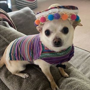 Meet your Posher, Jodi